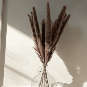 Mini Brown Pampas Grass Set of 10 | Dried flowers Pampas for Vase Decor
