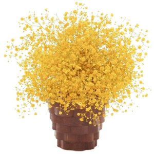 Yellow Baby’s Breath Dried Flowers | Natural Gypsophila Bouquet for Vase Decor
