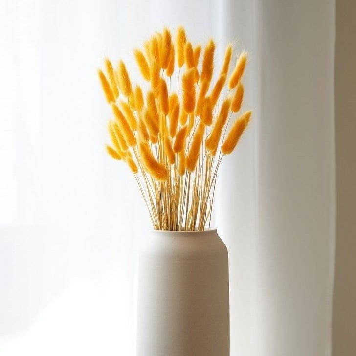Yellow Bunny Tails Dried Flowers